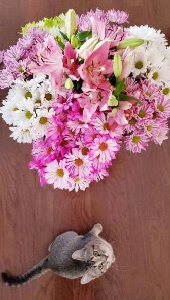 Anniversary roses bouquet