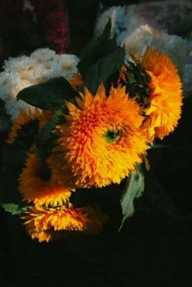 Delivered bouquet 1